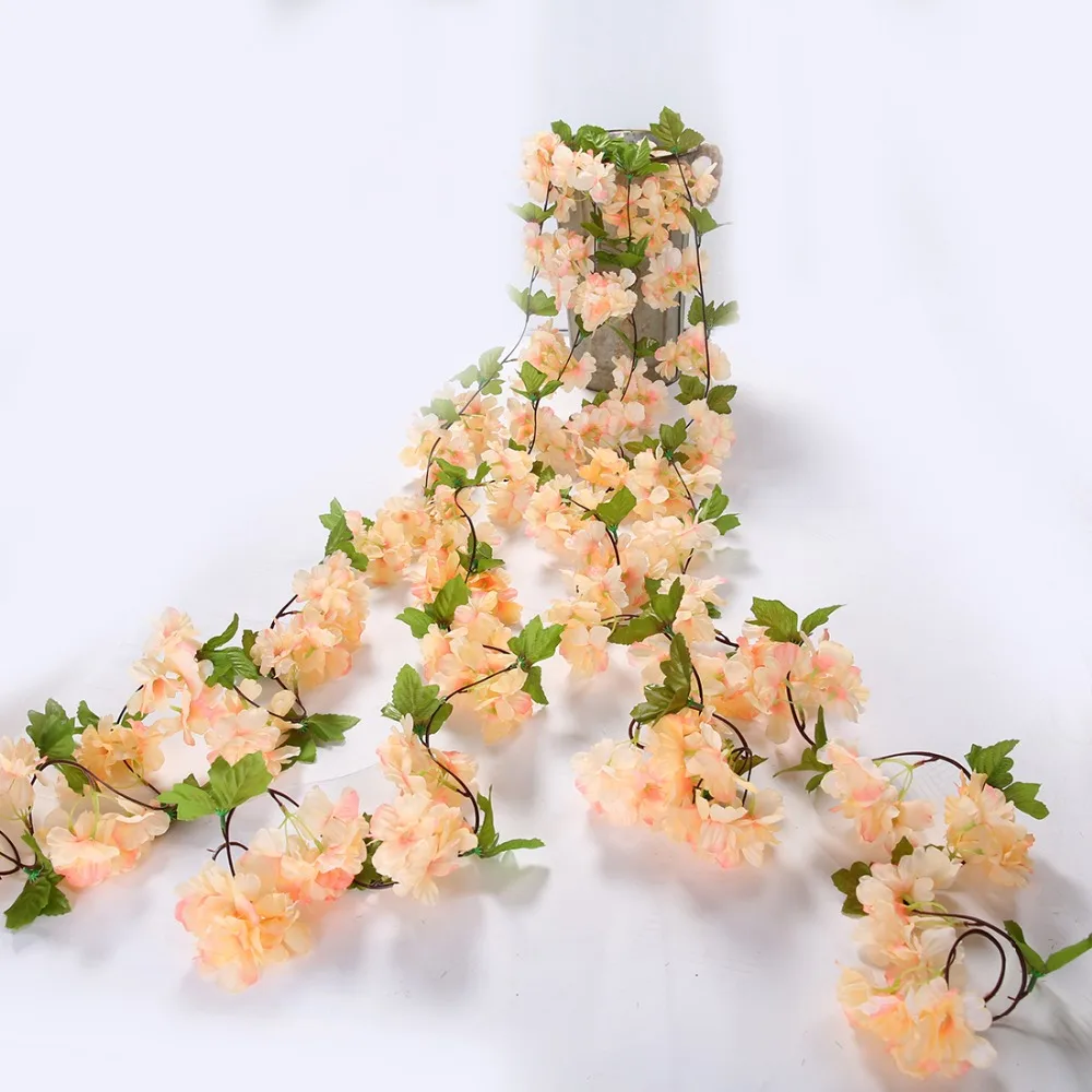 4F9A5677