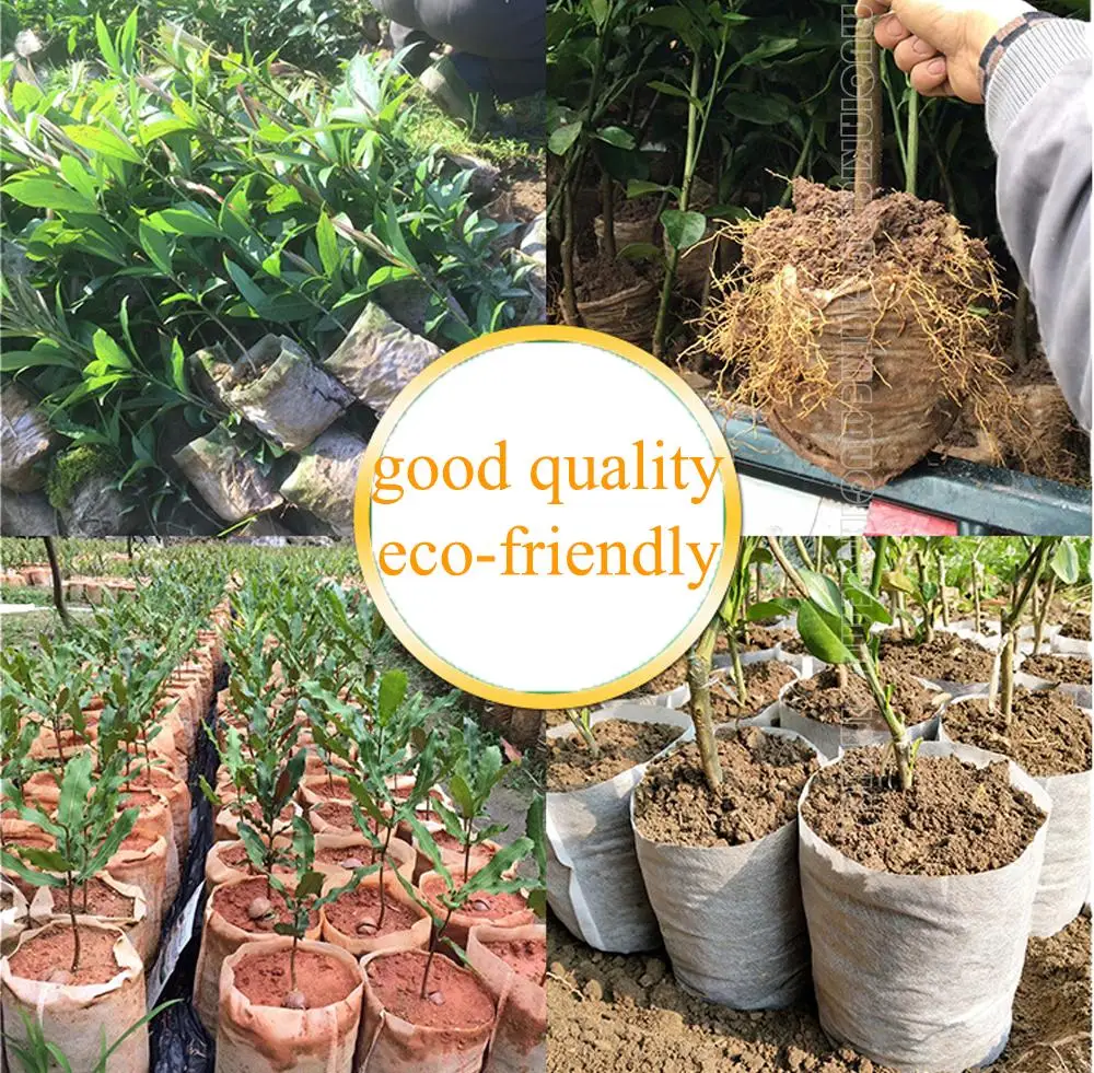 100pcs Nonwoven Fabric Nursery Plant Grow Bags Seedling Growing Planter  Planting Pots Garden Eco-Friendly Ventilate Bags - AliExpress