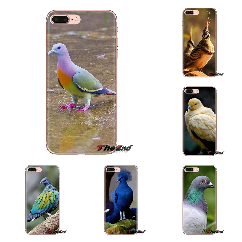 For iPod Touch Apple iPhone 4 4S 5 5S SE 5C 6 6S 7 8 X XR XS Plus MAX Silicone Phone Cover Bag Pastel Pigeon Free beautiful bird |