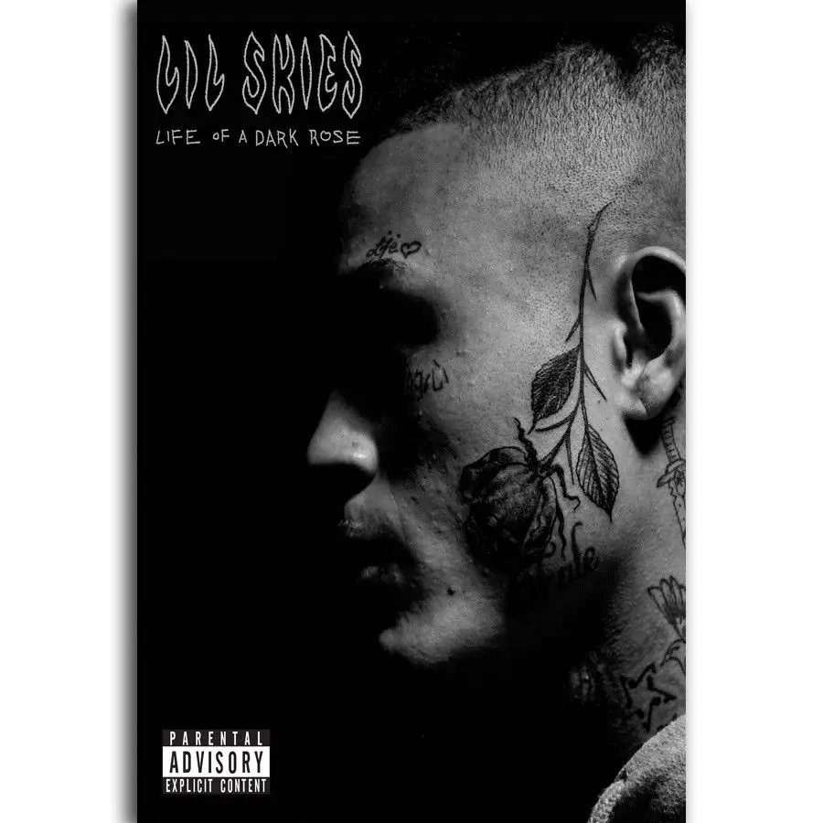 

N-2588 Album Cover Life of a Dark Rose Lil Skies Rap Singer POSTER L-W Canvas Art Print Decoration 14x21 20x30 24x36