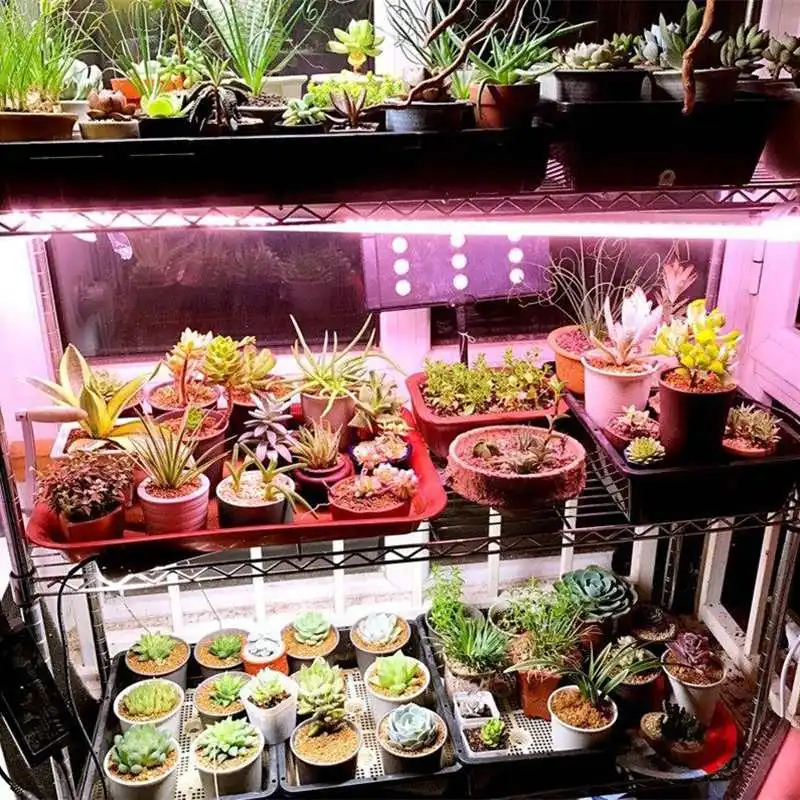 50 Вт/100 Вт свет для выращивания полного спектра светодиодный светильник для выращивания цветов для растений; для овощей гидропоники