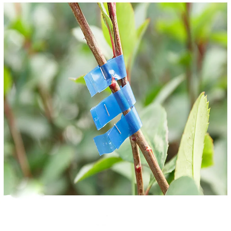 10000pcs Tapetool Tapener Tying Staple pin Nail Tape Tool fruit tree Secateurs Machine Pack Plant Garden Trunk Connect 604c