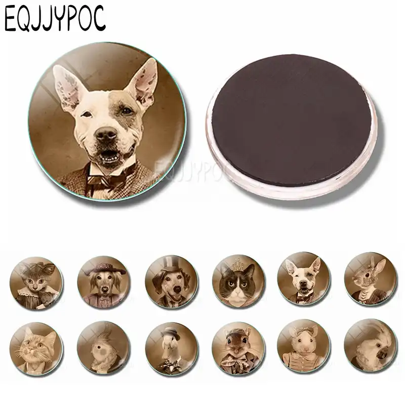 1 шт. милые животные стеклянные магнитики кошка мышь собака кролик Утка Птица 30 мм Круглый Магнитный украшение на холодильник наклейки