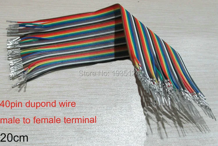 male to female