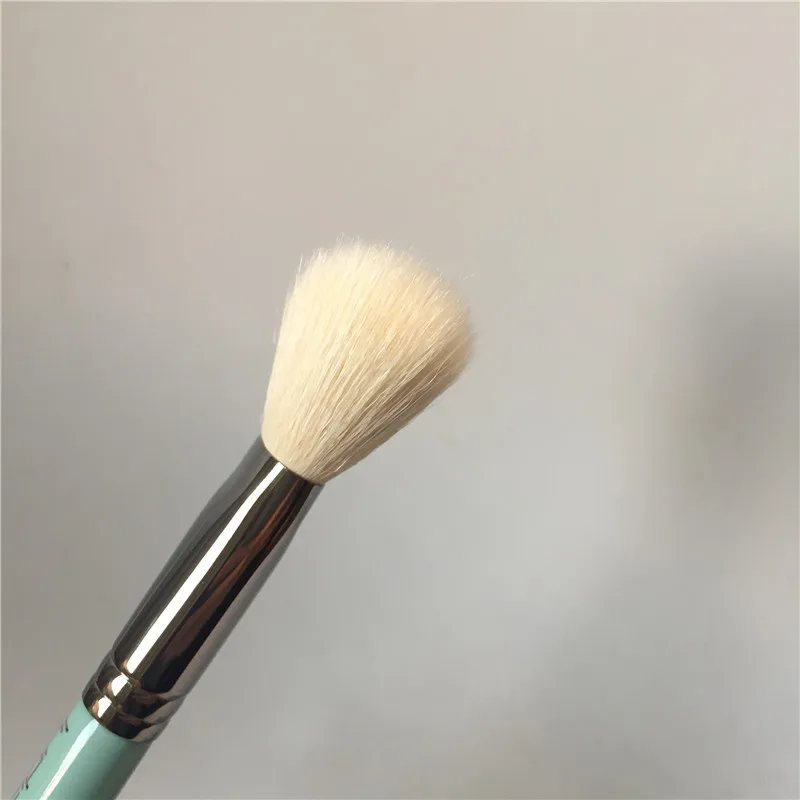 Lydia T-Series T-2 Anlged Blush Brush _ 2