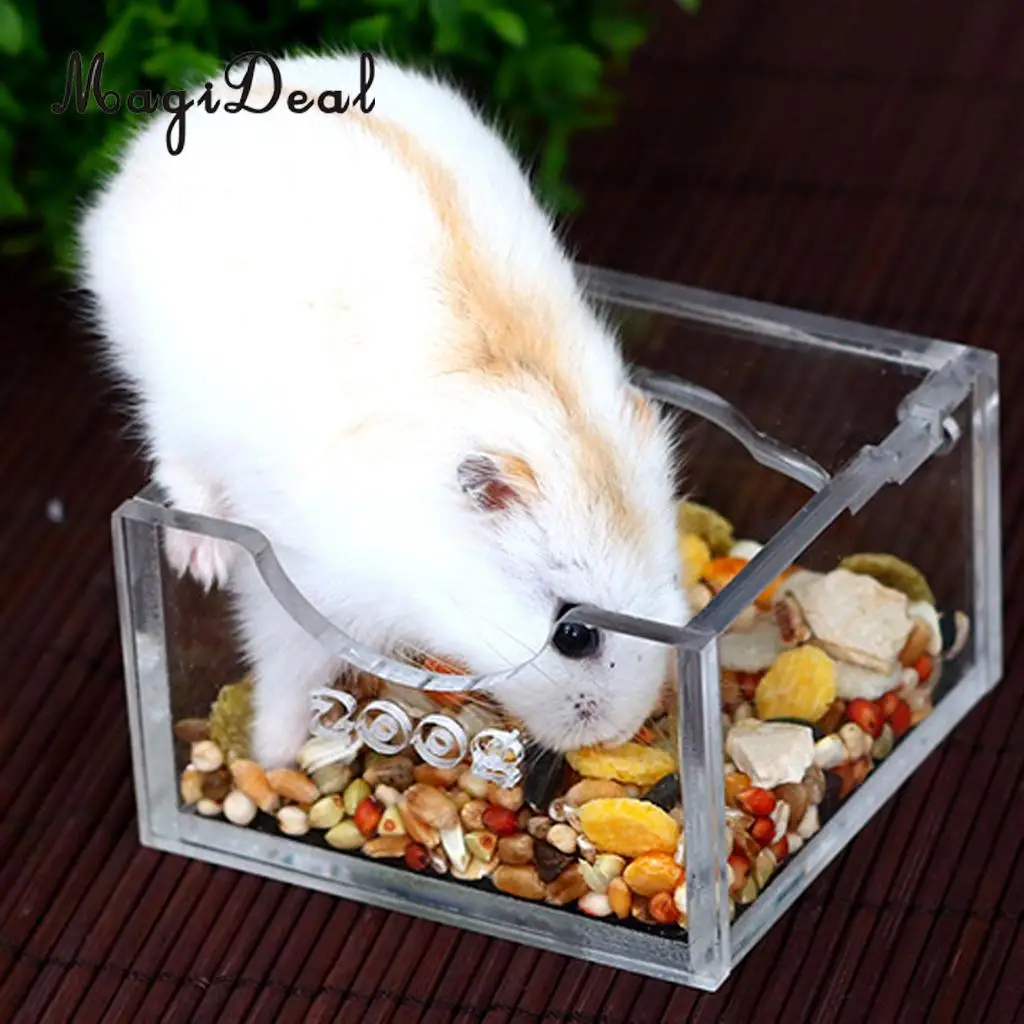 Small Pet Hamster Mouse Rat Gerbil Acrylic Food Water Bowl Clear