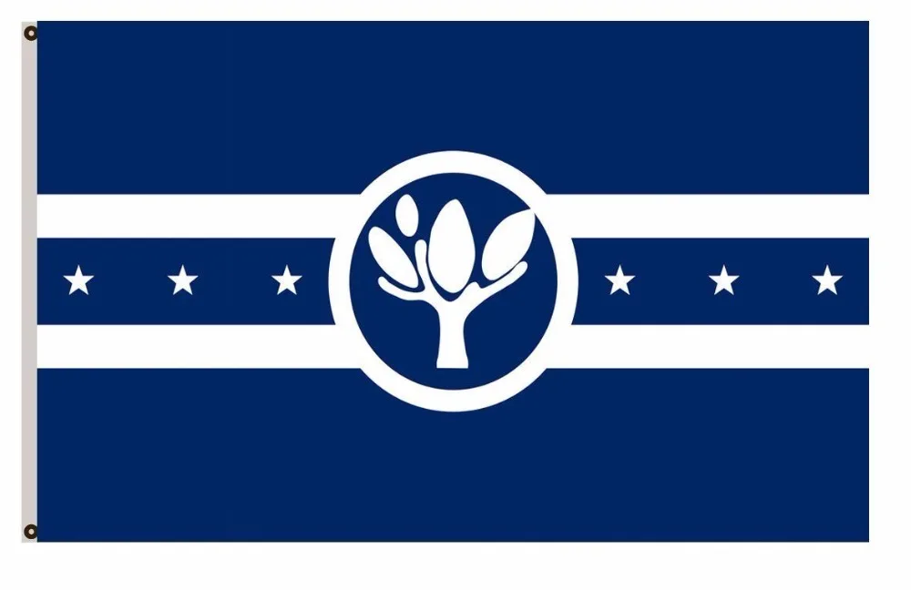 Illinois banner City of Naperville Polyester Indoor Flag Banner metal holes Flag Custom Any Flag