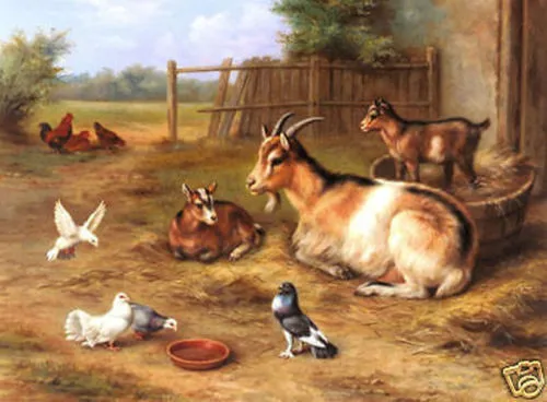 

Handicrafts Repro oil painting:"goats chickens doves" 24x36"