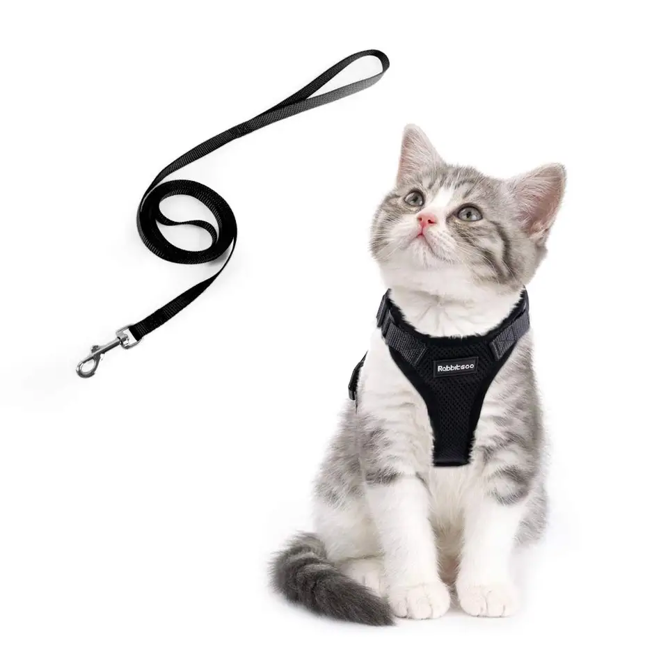 Ensemble Harnais Et Laisse Pour Chat Pour La Marche Petit Harnais Pour Chien Avec Bandes Réfléchissantes Nylon Maille Vêtements Pour Animaux De
