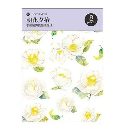 QQ截图20190624104412