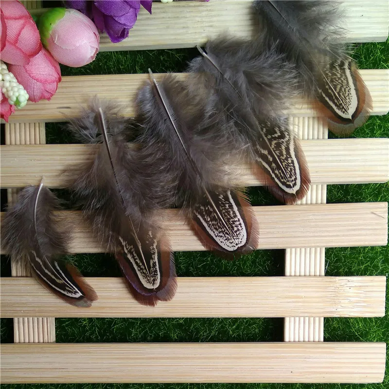 10pcs Natural Color Decorative Chicken Feathers for Wedding Clothing