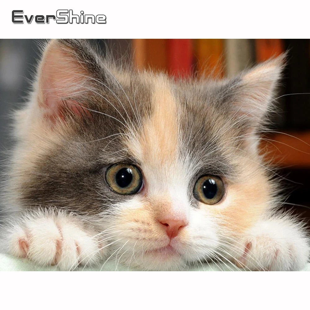 Evershine алмазная вышивка кошка полная выкладка алмазная мозаика вышивка крестиком животные картины стразами бисером рукоделие декор для дома