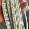 LED strip CCT Cool white & Warm white 120leds/m 220V 5730 Color temperature Dual IP68 Dimmable flexible tape light ► Photo 1/6