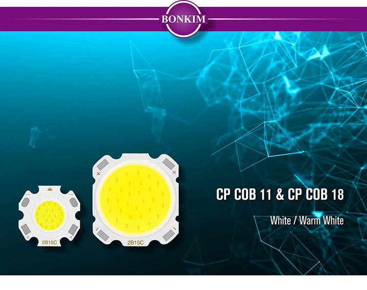 CP COB 2011&2820_01