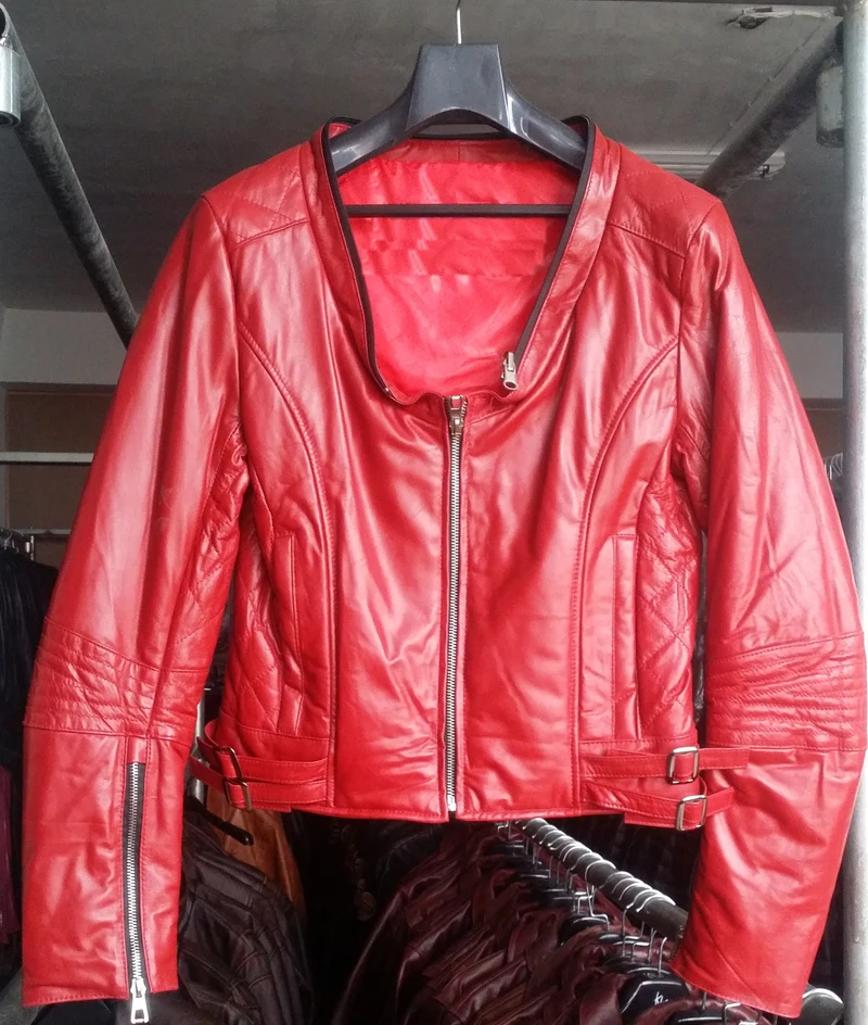 zh128 red without collar 1