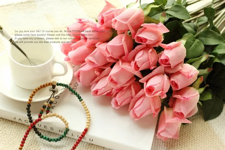 T2l6moXeXbXXXXXXXX_!!22432034