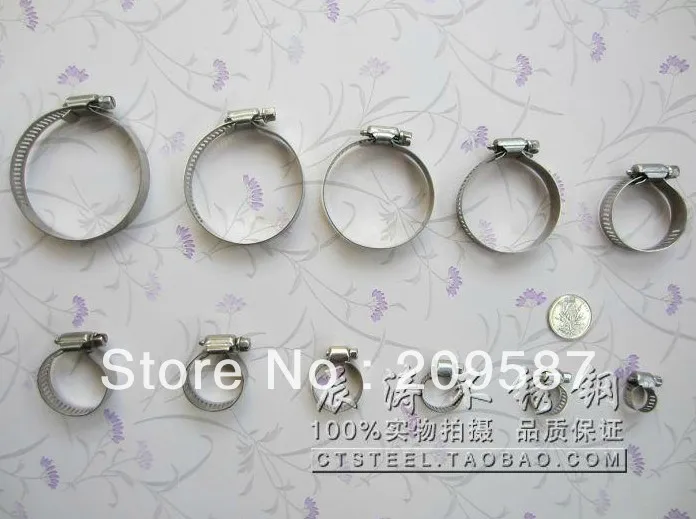 20pcs Stainless Steel Hose Pipe Adjustable Screw Bolt Clamps Ties Wrap