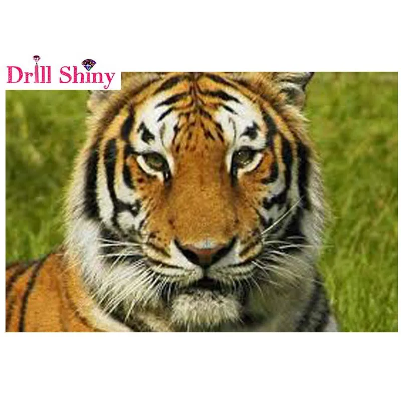 

New Year Gifts 5D DIY Diamond embroidery tiger animals painting rhinestone Cross-Stitching kit diamond Mosaic Room Decoration