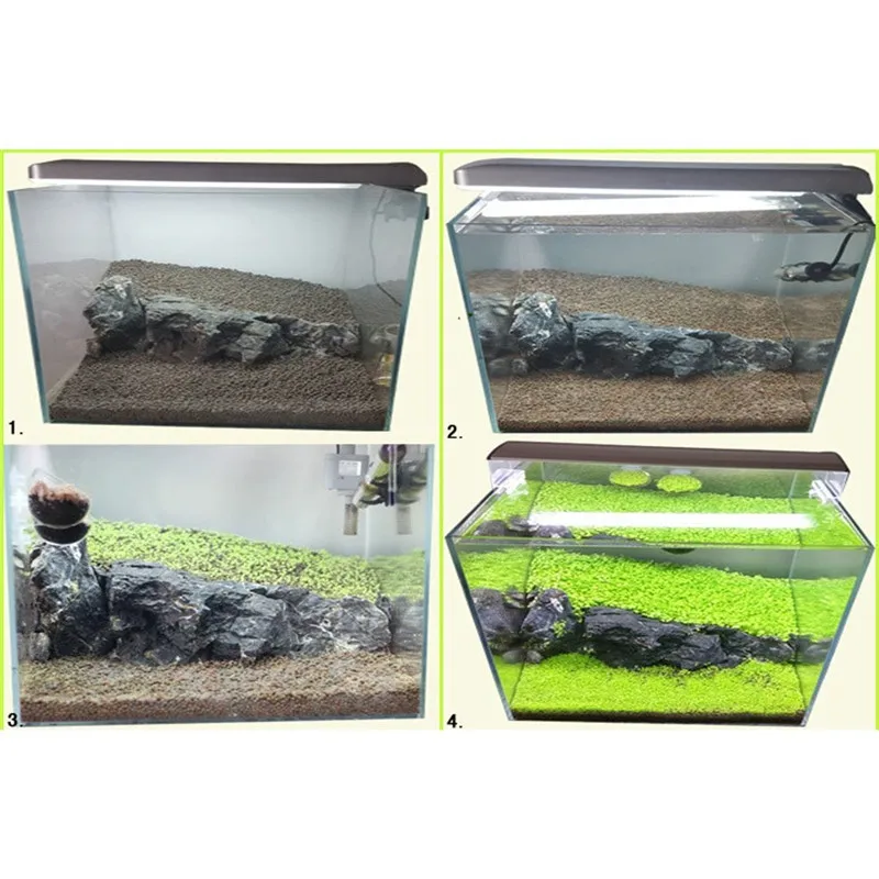 Fish Tank Aquarium Plant Seeds Aquatic Water Grass Decor Rock Lawn Garden Foreground Plant08