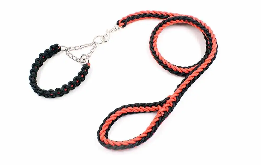 6 Collars, Harnesses & Leads