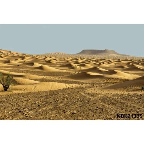 Laeacco желтая пустыня на заказ фотосессия фотография фоны природа живописный друг фотографический фон для фото Vedio Studio - Цвет: NBK24375