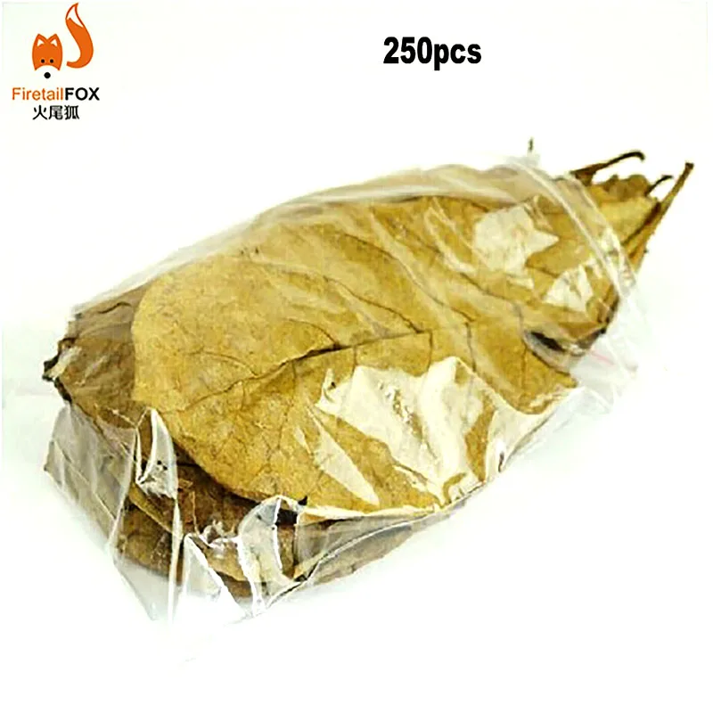 

250pcs Nature Terminalia Catappa Foetida Almond Leaves Water Filter Aquarium Fish Tank Breeding Shrimp Snails Catfish Ornament