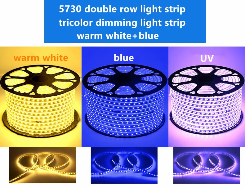 warm white+blue  5730 tricolor dimming light strip