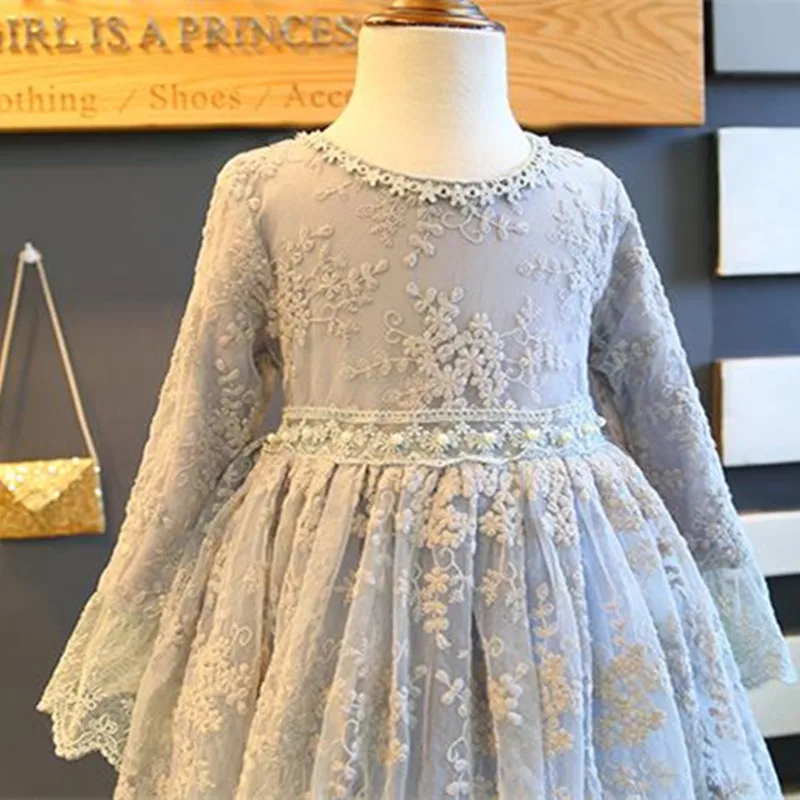 DFXD Kids Girls Princess Dress Spring Autumn 2018 High Quality Long Sleeve Lace Embroidered A-line Girl Dresses Vestido 2-8Years DFXD Kids Girls Princess Dress Spring Autumn 2018 High Quality Long Sleeve Lace Embroidered A-line Girl Dresses Vestido 2-8Years