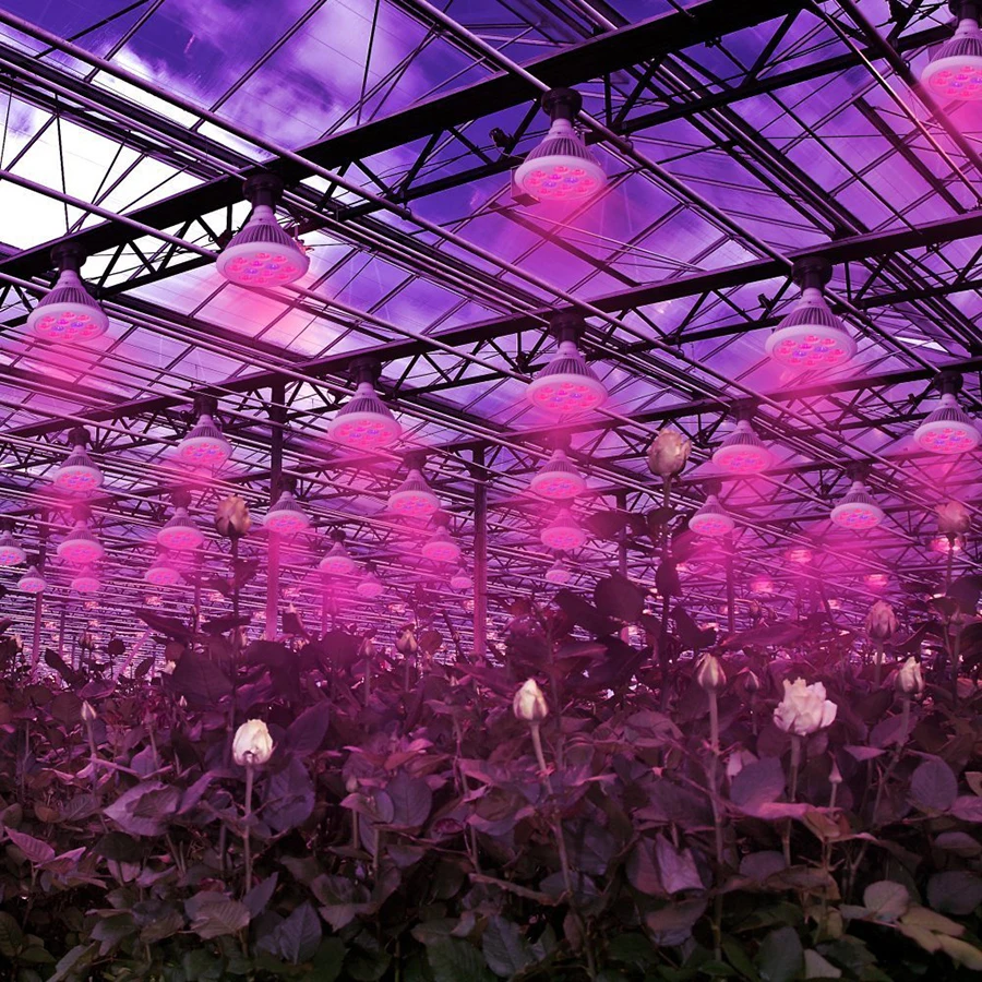 E27-9W-12W-AC85-265V-7Red-2Blue-9Red-3Blue-Led-Grow-Lights-High-Power-for-Flowering