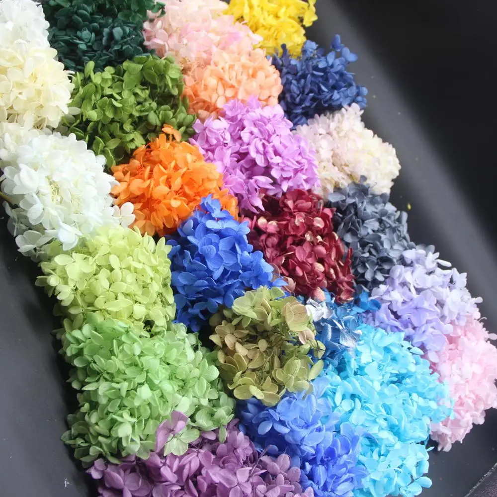 

3g/lot High Quality Natural Fresh Preserved Flowers Dried Hydrangea Flower Head For DIY Real Eternal Life Flowers Material