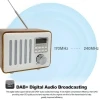 

DAB Digital Portable Radio With Display Screen External Antenna Support Mp3 FLAC APE WMA WAV FM Stereo Radio