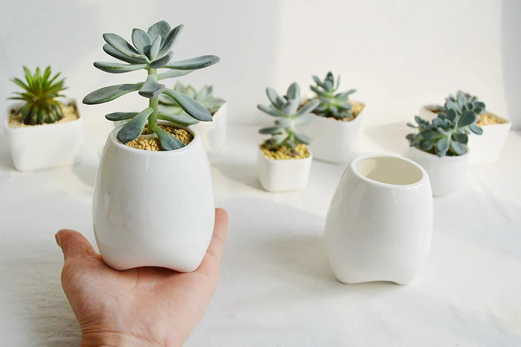 TB2a6_CdXXXXXbTXXXXXXXXXXXX_!!1878166685