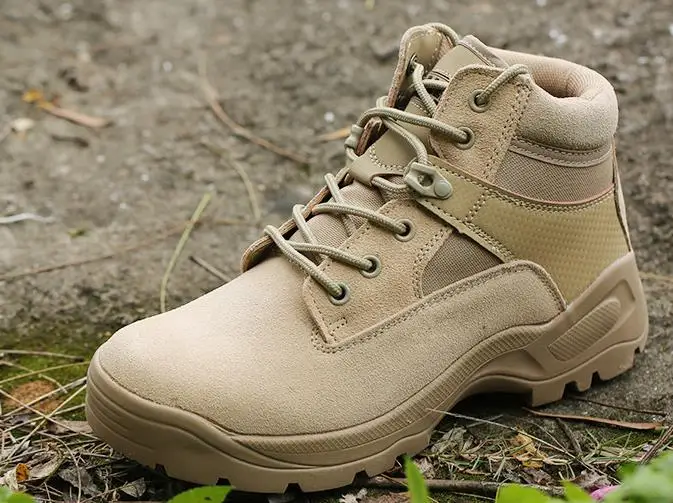 36020180316111351850