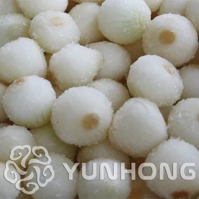 

Free Shipping 100 pcs Fresh White Onion Bonsai vegetables indoor Bonsai for home garden plants planting farm Bonsai