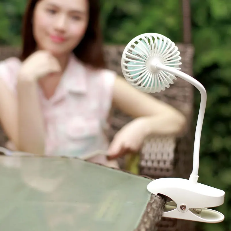 fan  (11)