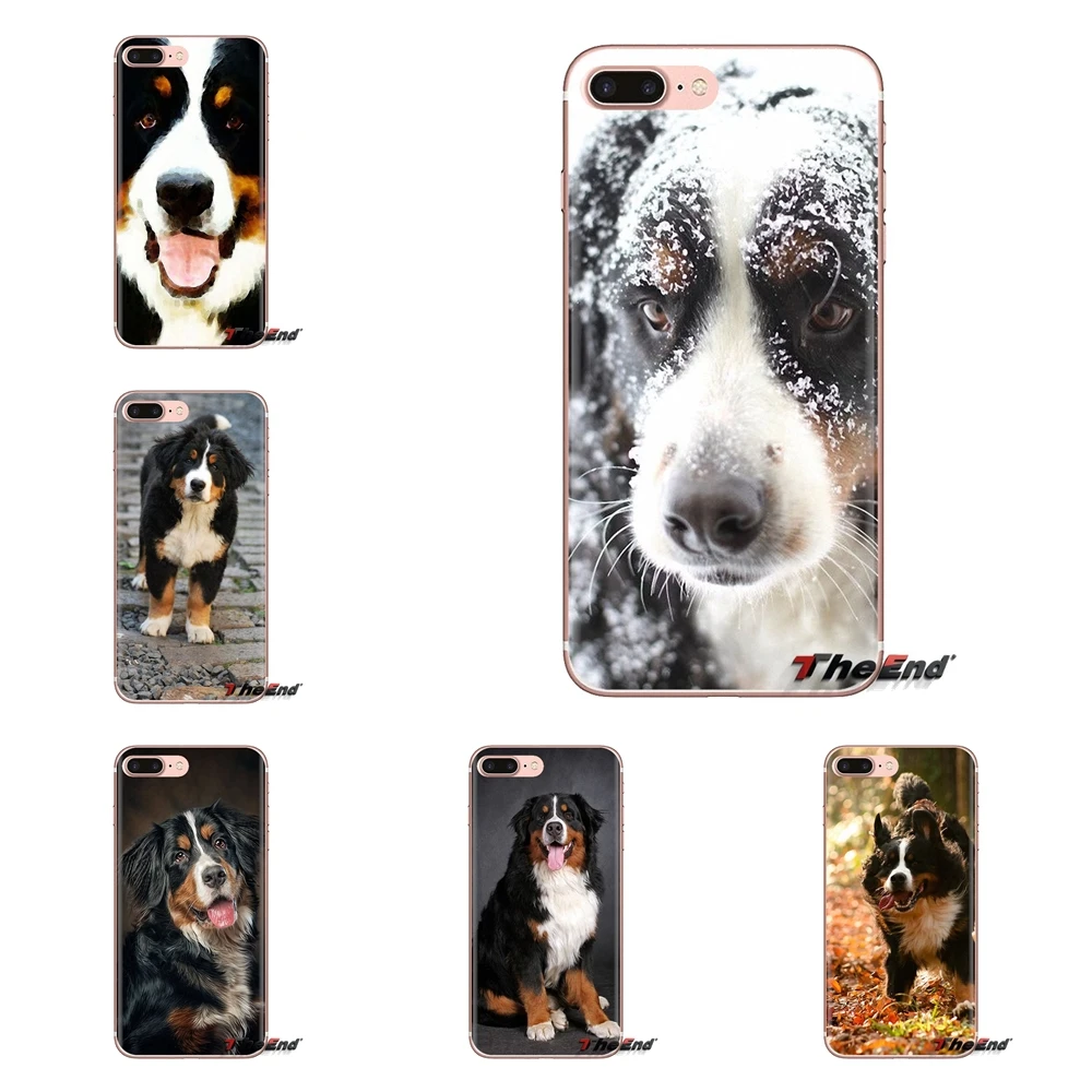 Силиконовый чехол для Samsung Galaxy S3 S4 S5 Mini S6 S7 Edge S8 S9 S10 Plus Note 3 4 5 8 9 Bernese Mountain Dog puppy Berner |