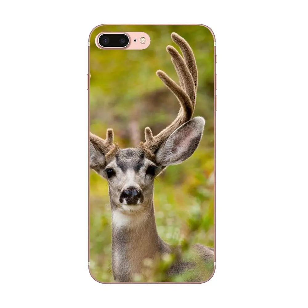 Охотничий олень мобильные чехлы для Apple iPhone 4 4S 5 5C 5S SE 6 6S 7 8 Plus X XS Max