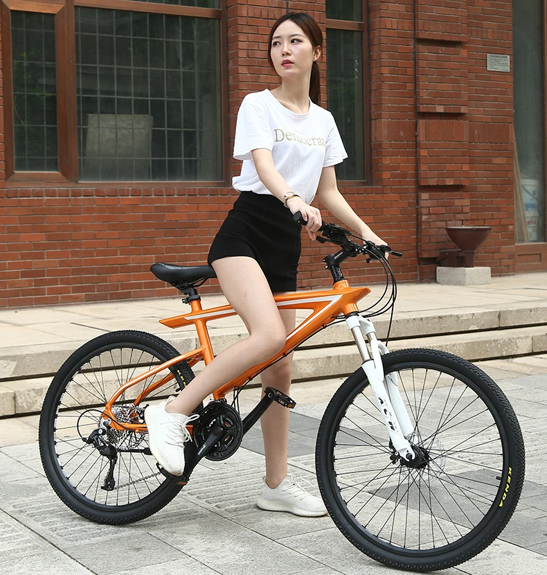 

high quality 27 speed aluminum alloy frame Mountain bike double disc brake bicycle for men and women