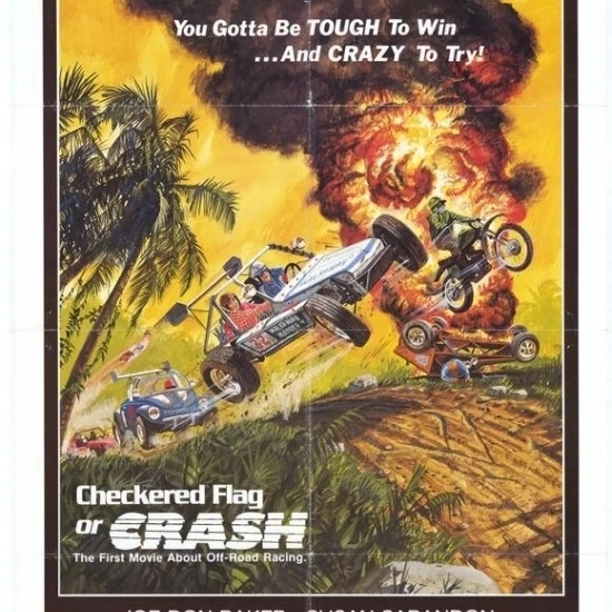 Checkered Flag or Crash Movie Poster (11 x 17)
