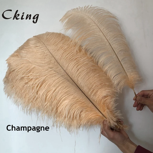wholesale light champagne colour feather fabric