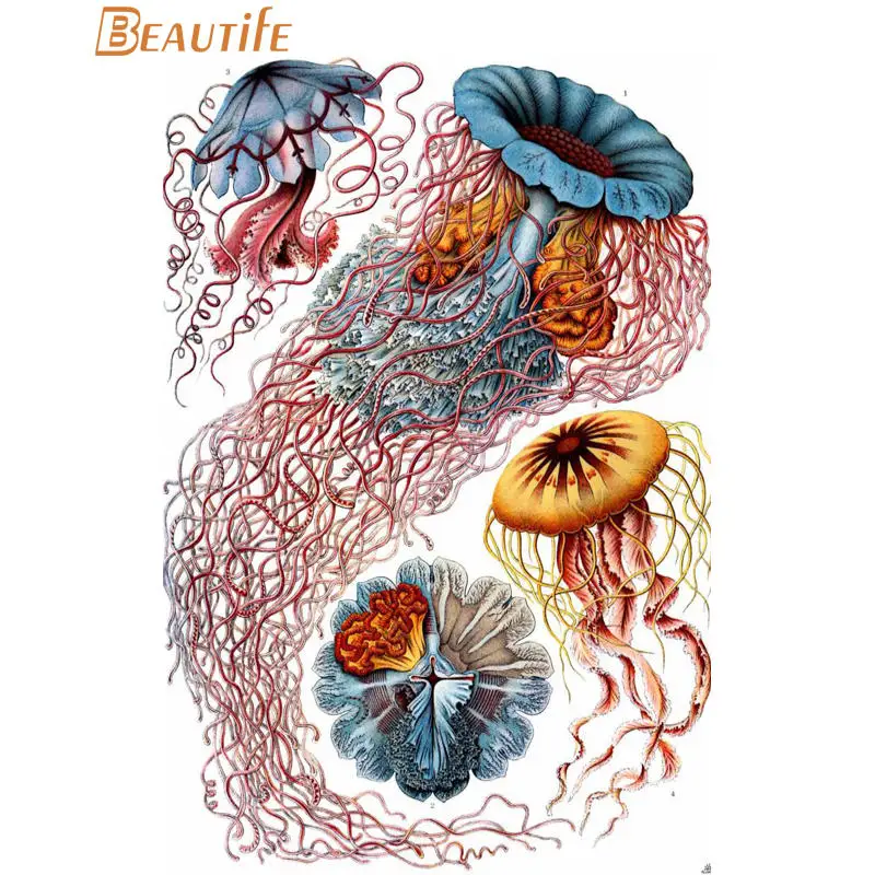 Изготовленный На Заказ энст haeckel Морская жизнь шелковая ткань плакат украшение