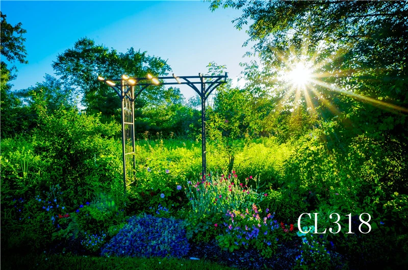 CL318