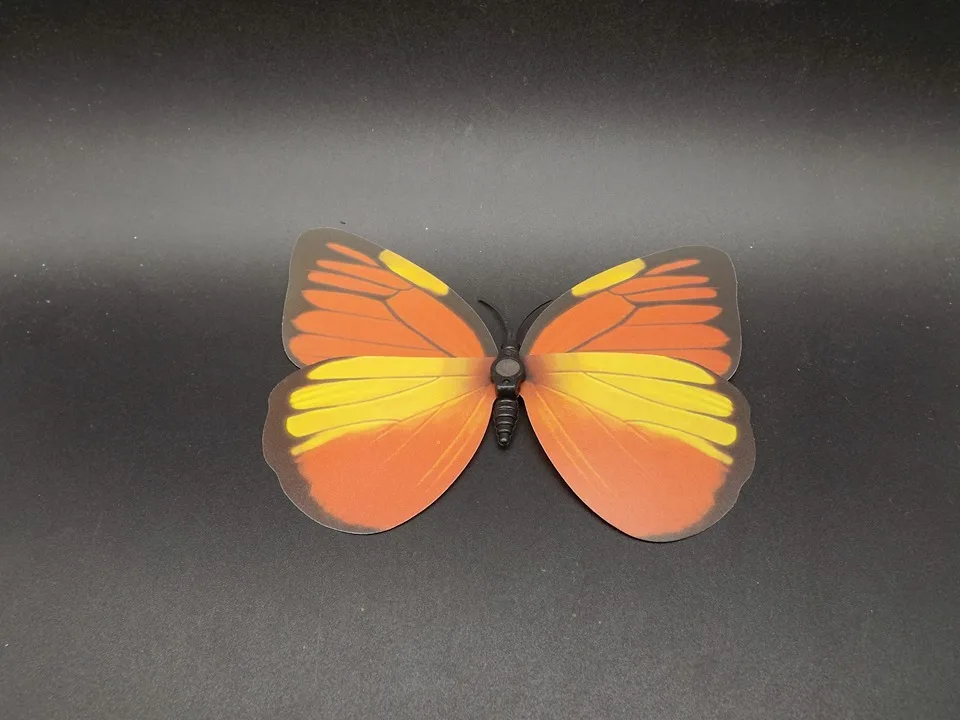 I229-Butterfly (8)
