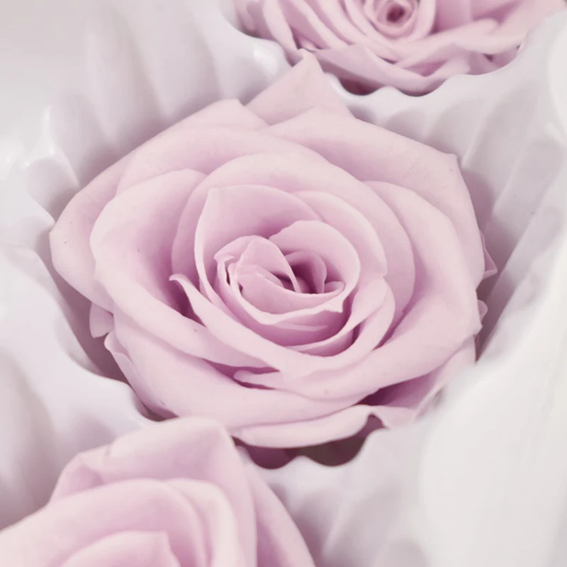 Buy Preserved Rose Flowers Immortal Rose 4 5CM Diameter Mothers Day DIY Wedding Eternal Life Flower Material Gift 8pcs Box Level B