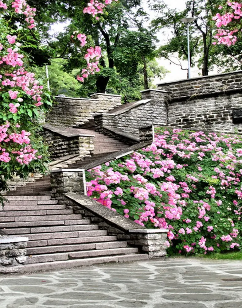

5x7ft Brick Stair Flowers Photography Backdrops Photo Props Studio Background