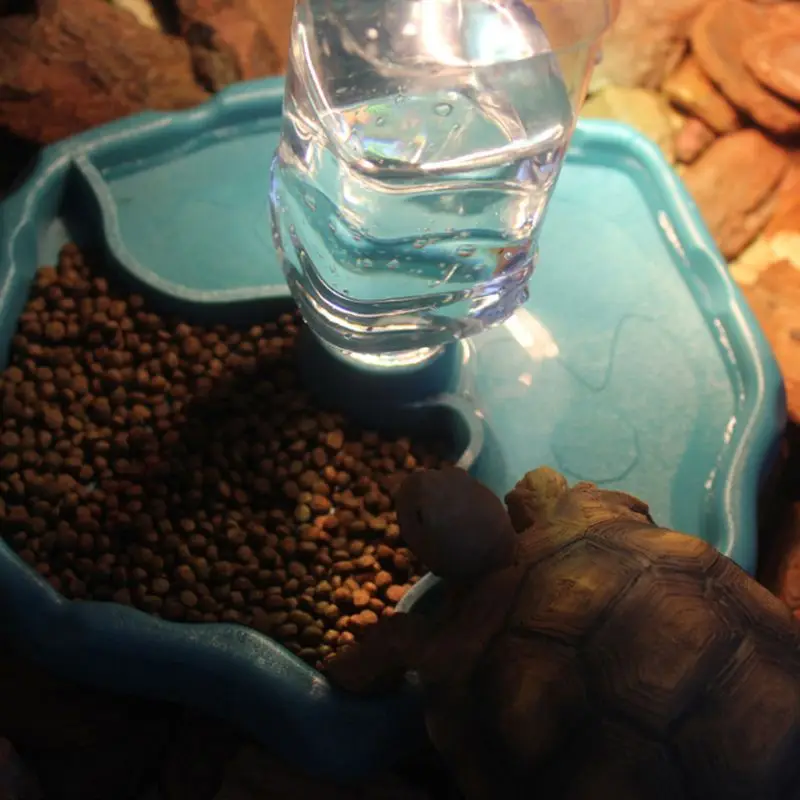 

Reptile Feeder 2 in 1 Automatic Water Food Feeding Plate Lizard Turtle Dispenser