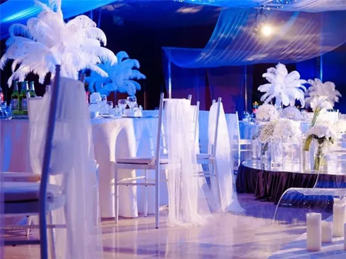 ostrich feathers decorations 1