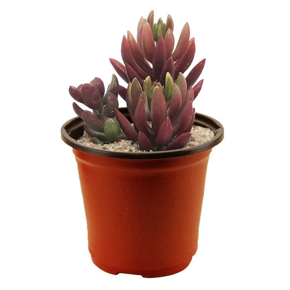 GF553_az06
