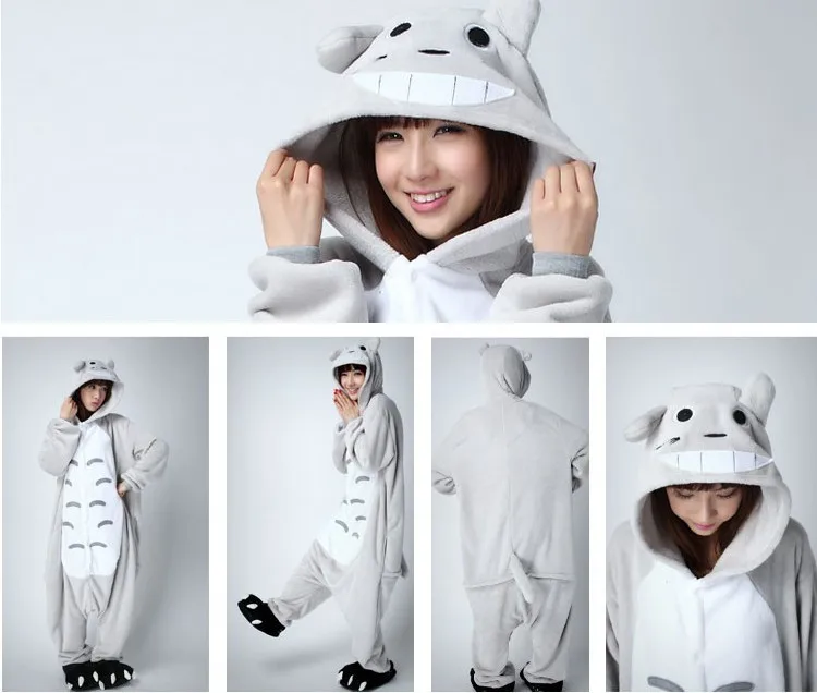 totoro 2