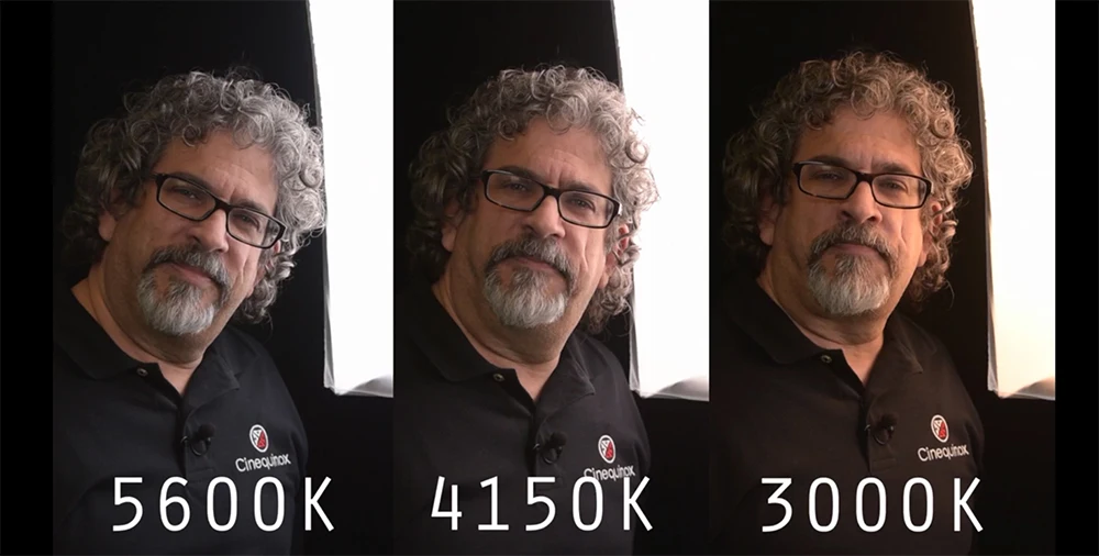 Falcon Eyes RX-12TD 50W 280pcs 3200-5600K waterproof Photography Light Portable LED Photo Light Flexible LED Photo Light 988